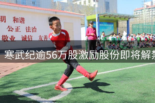 寒武纪逾56万股激励股份即将解禁