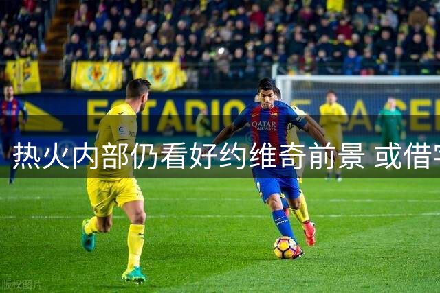 热火内部仍看好约维奇前景 或借字母哥之力提升表现
