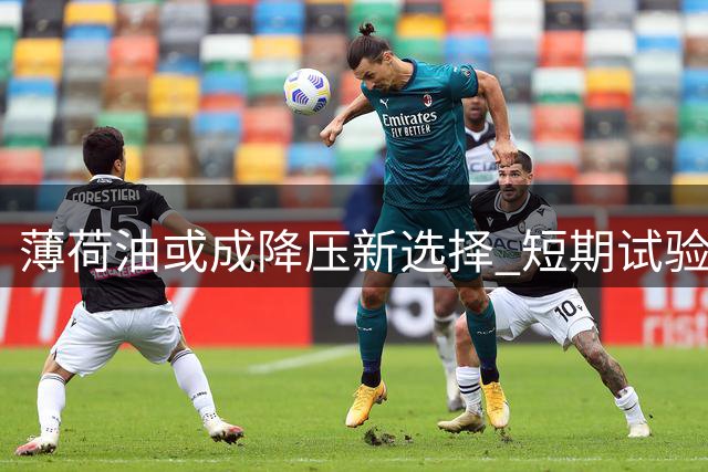 薄荷油或成降压新选择 短期试验效果显著