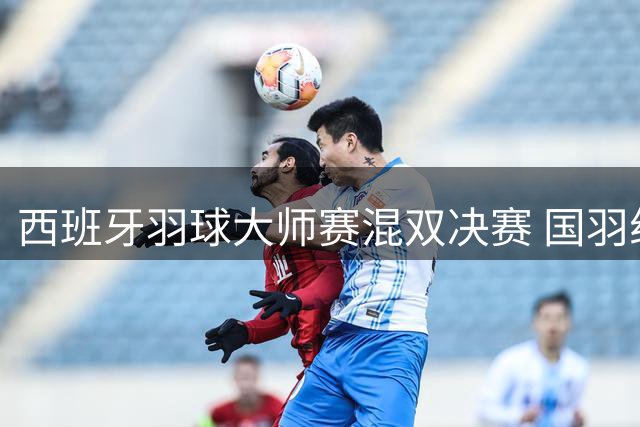 西班牙羽球大师赛混双决赛 国羽组合激战三局惜败摘银