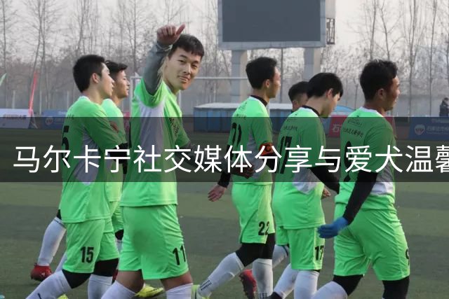 马尔卡宁社交媒体分享与爱犬温馨时刻